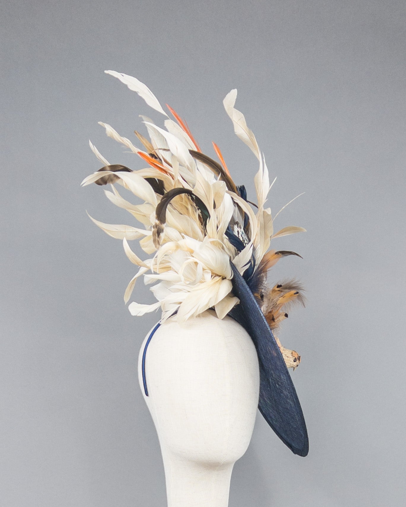 Bird Town